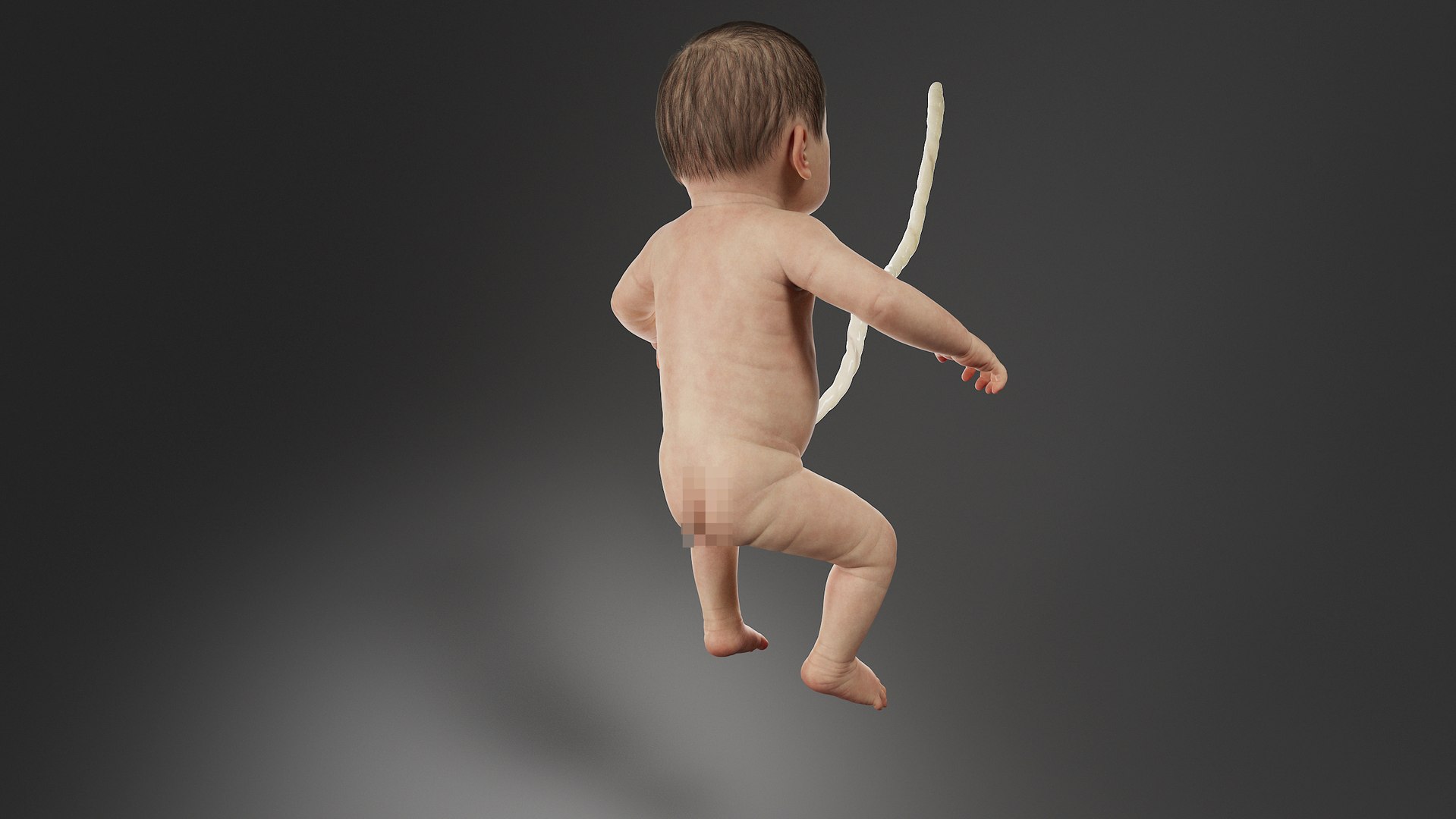 Fetus No Rig 3D model https://p.turbosquid.com/ts-thumb/qd/9kPJ18/yj/otus0014/jpg/1701087267/1920x1080/fit_q87/a01c9da83b79a7cc9064091972f1d2dd1fa49dce/otus0014.jpg