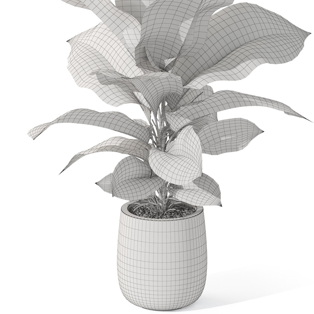 3D Plants collection 1064 https://p.turbosquid.com/ts-thumb/qd/AJNgpz/QL/plant_1064_05/jpg/1712474276/1920x1080/fit_q87/7734e473f01cc5af552296d510ffa41e747554d7/plant_1064_05.jpg