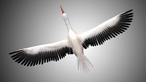 flying Stork