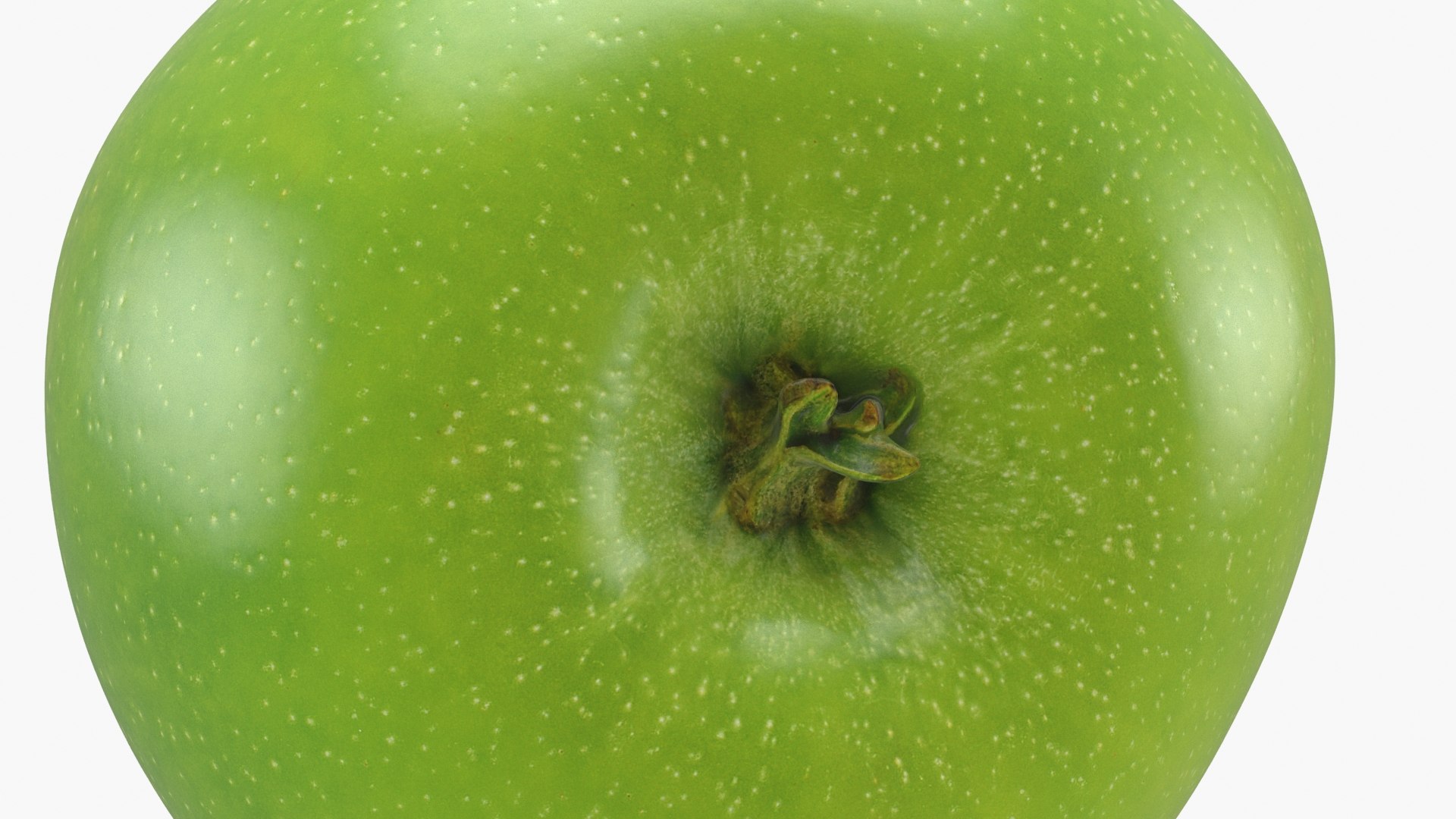 3D model Green Apple v1 https://p.turbosquid.com/ts-thumb/qd/GQhCBU/pE/greenapplev1_b0024/jpg/1681483940/1920x1080/fit_q87/98cbda3f92732a80cbb382a4fdfd229f271e820e/greenapplev1_b0024.jpg