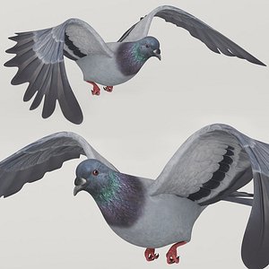 Low Poly Pigeon Flying Animated Rigged For Maya