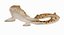 3D epaulette shark animation