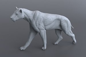 3D Homotherium 3d print model
