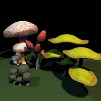 Mushrooms 01
