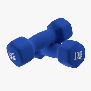 Dumbbell Hand Weight 3D