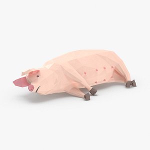 Pig Lying