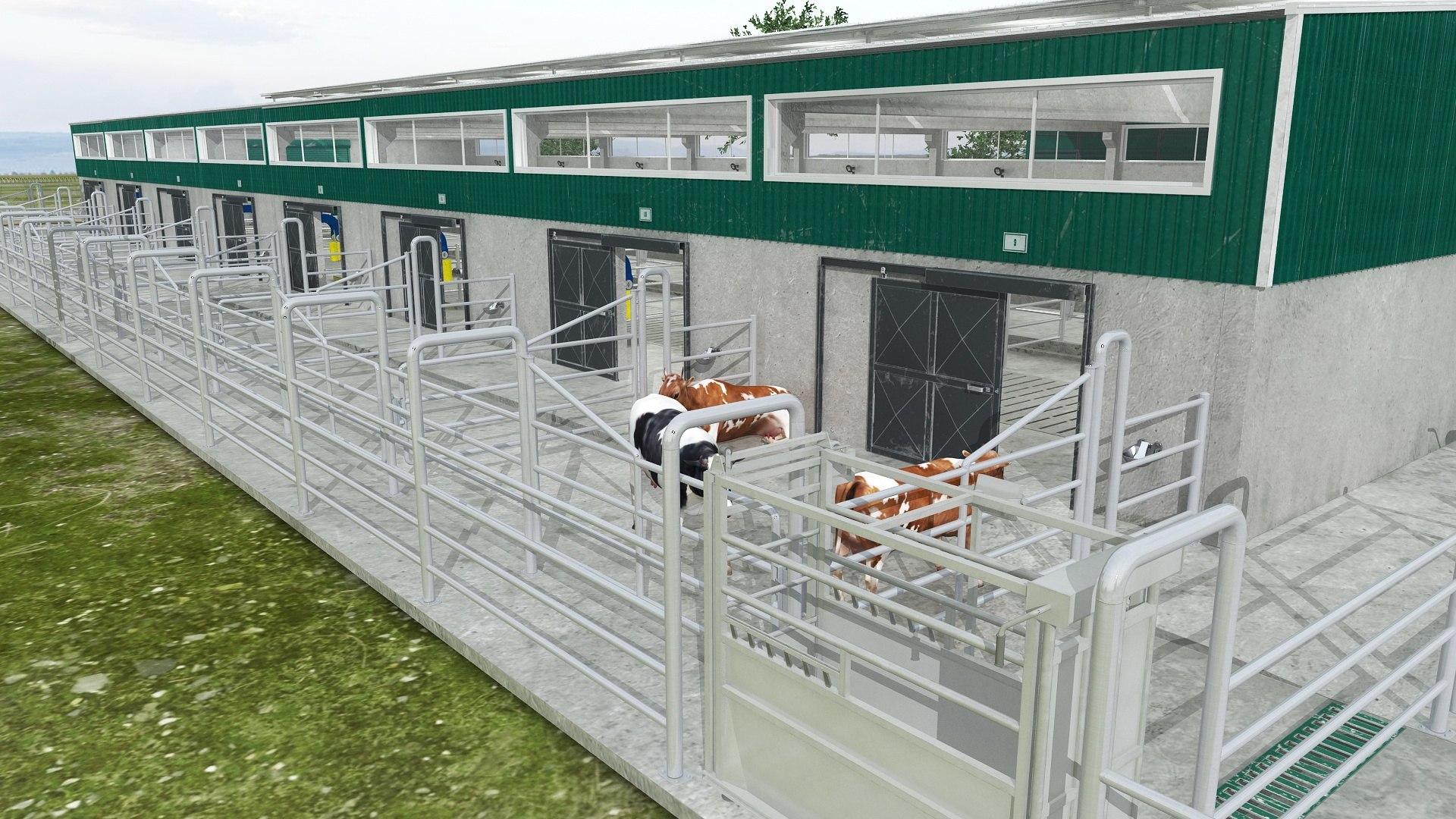 Big Cow Farm Collection 3D model https://p.turbosquid.com/ts-thumb/qe/6yrdj5/03/fatteningfarm15/jpg/1766941523/1920x1080/fit_q87/0aeb1f6596f1346b30b37f57bd8cb757d416e1d1/fatteningfarm15.jpg