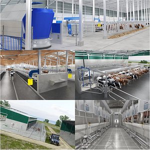 Big Cow Farm Collection