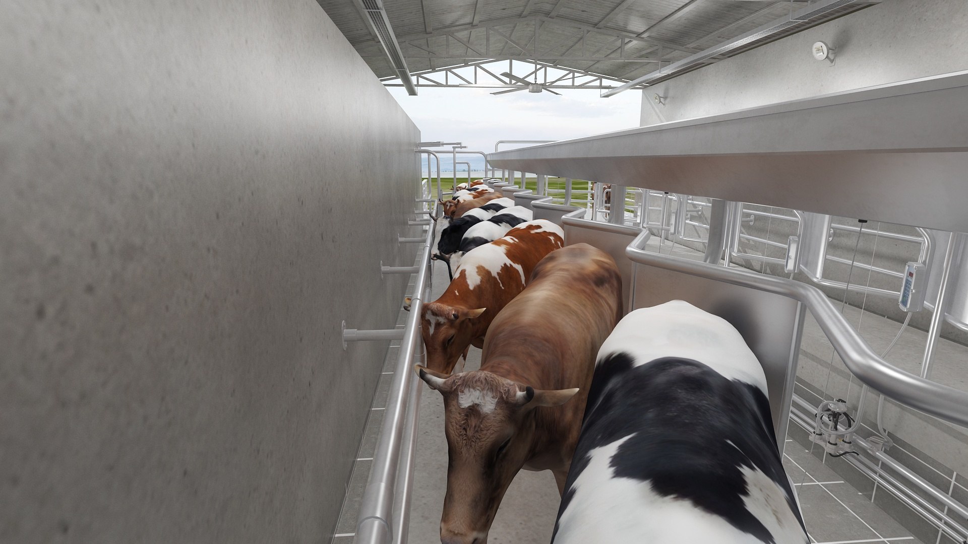 Big Cow Farm Collection 3D model https://p.turbosquid.com/ts-thumb/qe/6yrdj5/HI/milkingparlor218/jpg/1766941593/1920x1080/fit_q87/5ba02869a62a1319df4959baee1dd92c6a828988/milkingparlor218.jpg