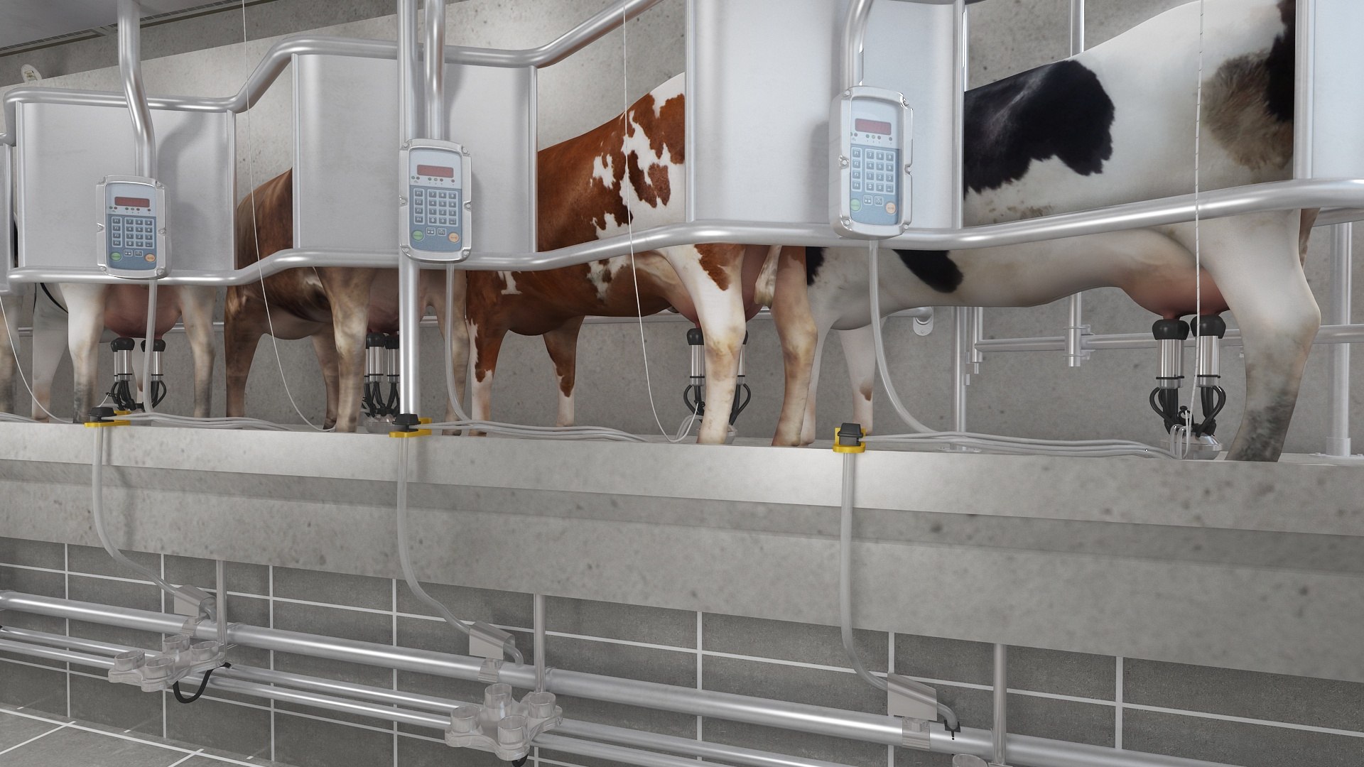 Big Cow Farm Collection 3D model https://p.turbosquid.com/ts-thumb/qe/6yrdj5/YR/milkingparlor28/jpg/1766941586/1920x1080/fit_q87/f58840572252a208b71e0abafcf7a5240293fdaa/milkingparlor28.jpg