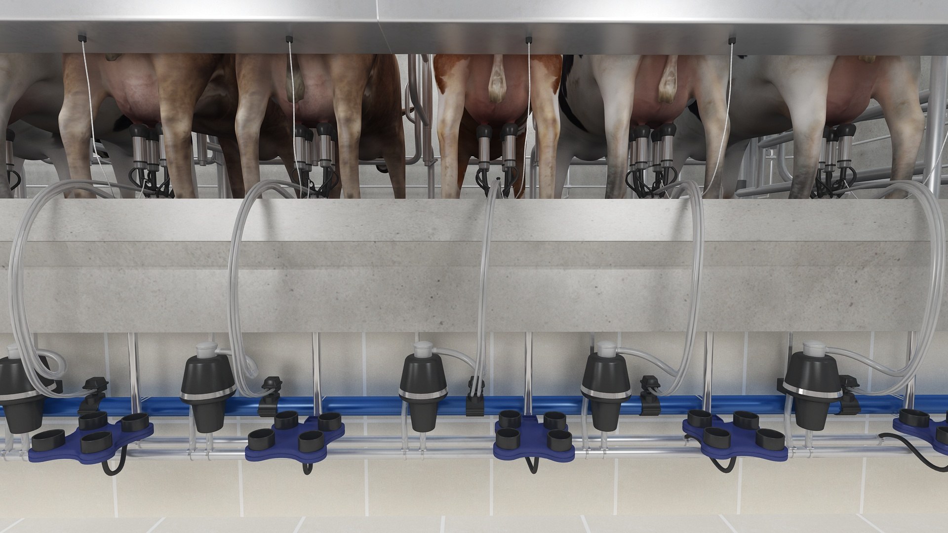 Big Cow Farm Collection 3D model https://p.turbosquid.com/ts-thumb/qe/6yrdj5/qX/milkingparlor17/jpg/1766941573/1920x1080/fit_q87/29fde231e8811d175d86c940e5d952117816f21a/milkingparlor17.jpg