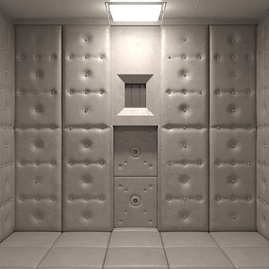 Mental Hospital Padded Room