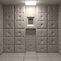 Mental Hospital Padded Room