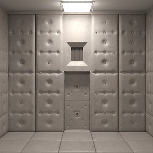 Mental Hospital Padded Room
