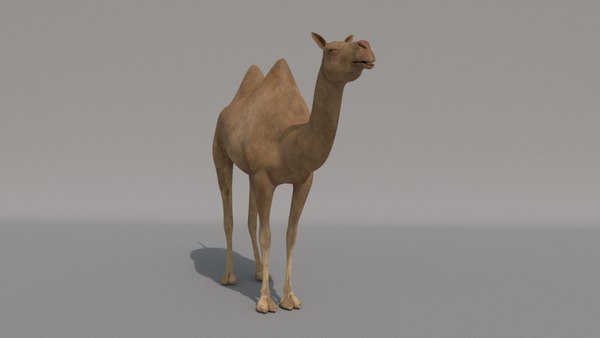 camel vr games 3D model