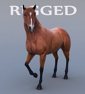 Horse Realistic and RIGGED