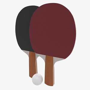 3D ping pong paddles ball model