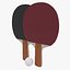 Ping Pong Paddles and Ball