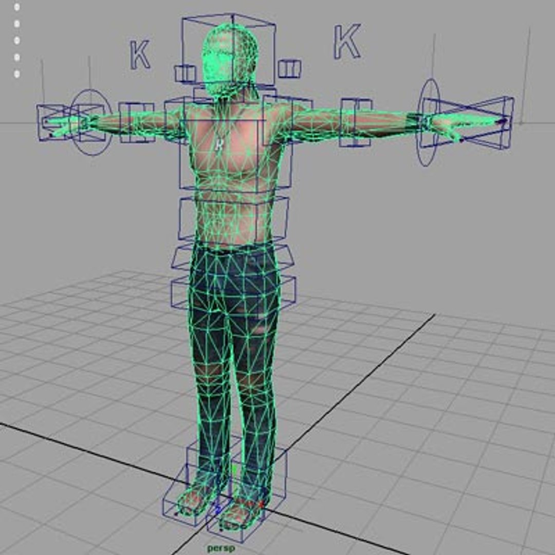 3d Ma Character Realistic Animate