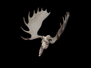 3ds max moose antlers