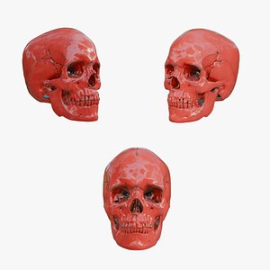 3D Anatomically correct human skull crimson red sci-fi futuristic