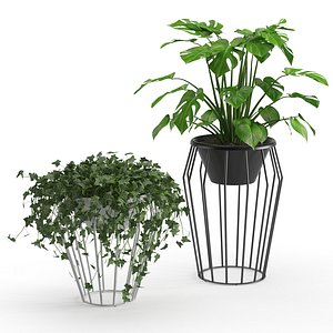 houseplant 42 3D model