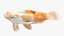 Japanischer Karpfenfisch, manipuliert L1824