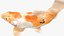 Japanischer Karpfenfisch, manipuliert L1824