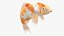 Japanischer Karpfenfisch, manipuliert L1824