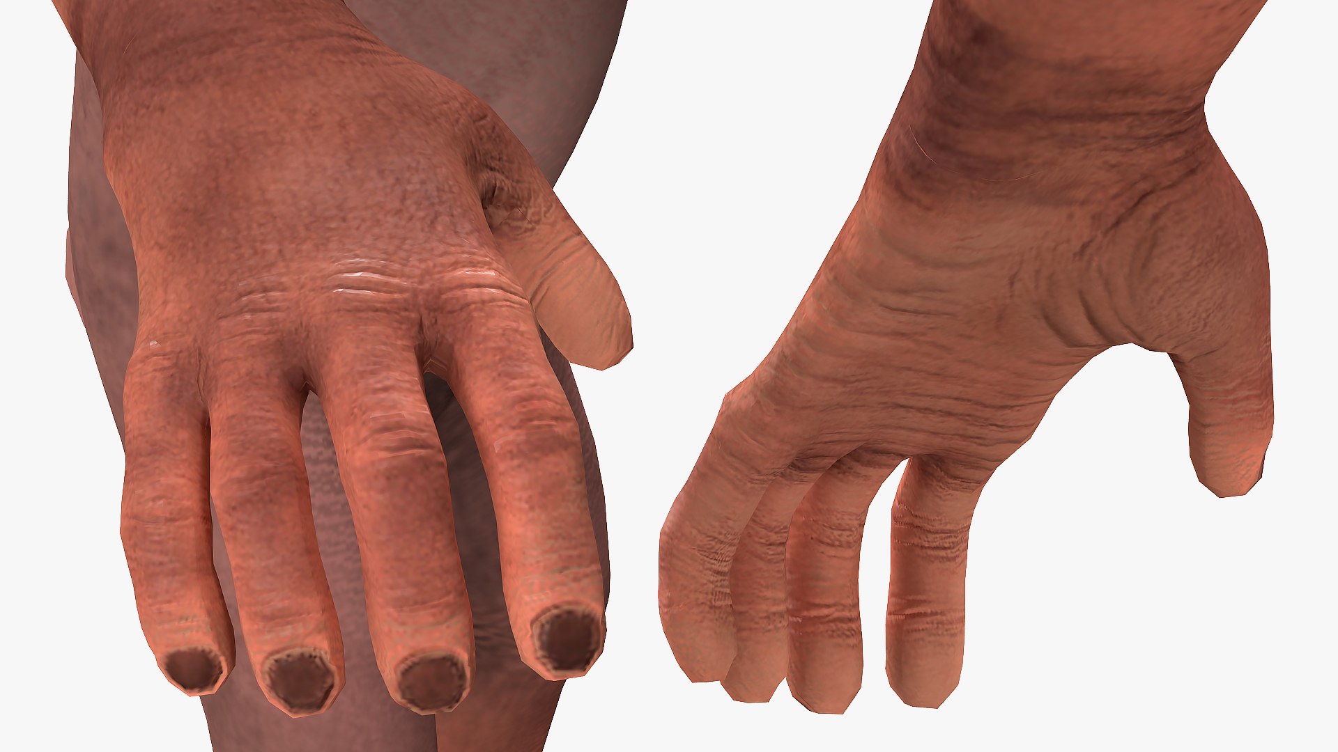 Light Chimpanzee 3D Model - TurboSquid 1432246