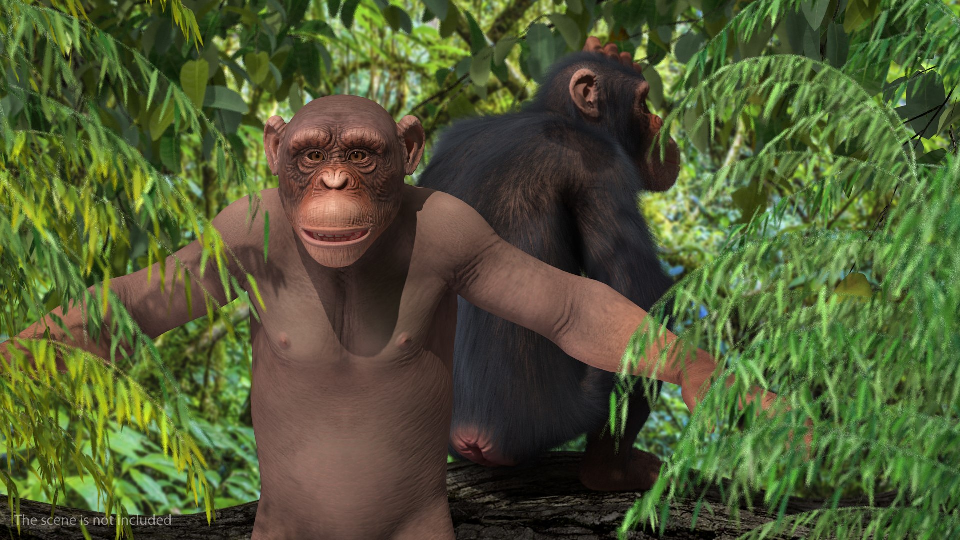 Light Chimpanzee 3D Model - TurboSquid 1432246