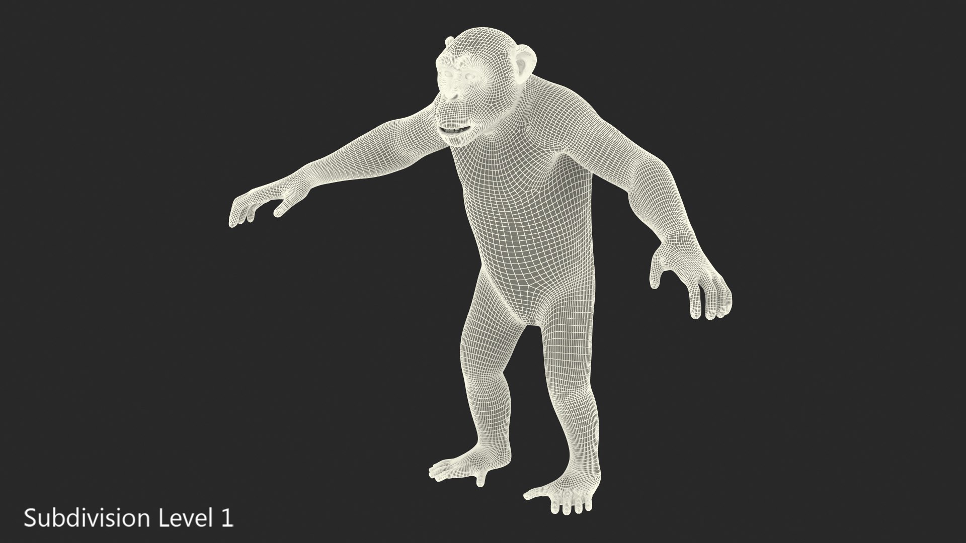 Light Chimpanzee 3D Model - TurboSquid 1432246