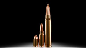 Bullets