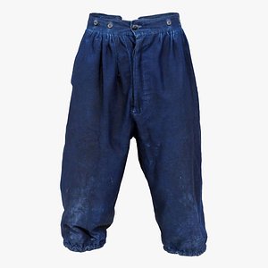 Star Trousers Remastered 3D model