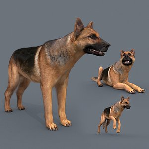 My Dog - 3d animated dog model