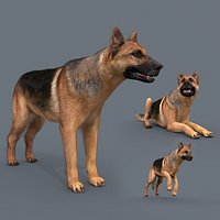 My Dog - 3d animated dog model