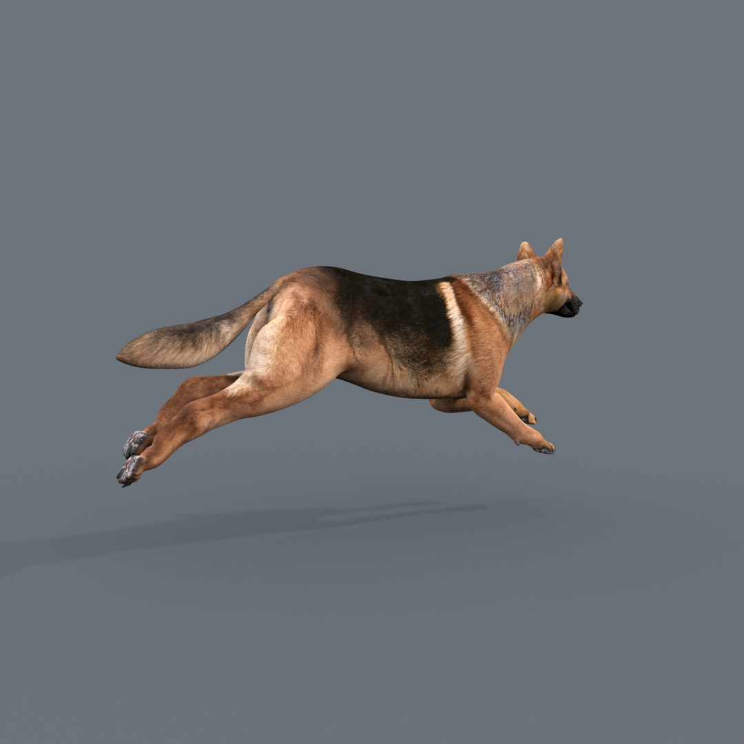 Dog Animation - 3D Model - TurboSquid 1404558