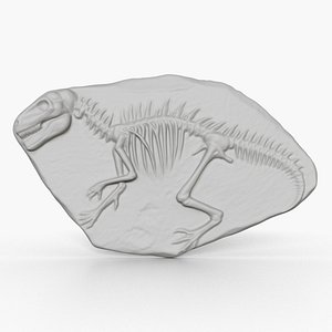 3D Dinosaur Fossil 004