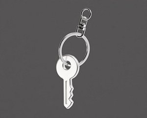 Key ring