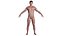 PERSONNAGE HUMAIN RÉALISTE AAA 3D - HOMME CORÉEN ASIATIQUE