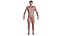 PERSONNAGE HUMAIN RÉALISTE AAA 3D - HOMME CORÉEN ASIATIQUE