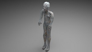 Mummy 3D model