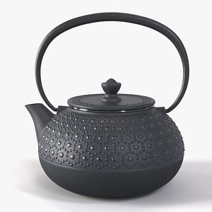 Traditional cast-iron Japanese teapot