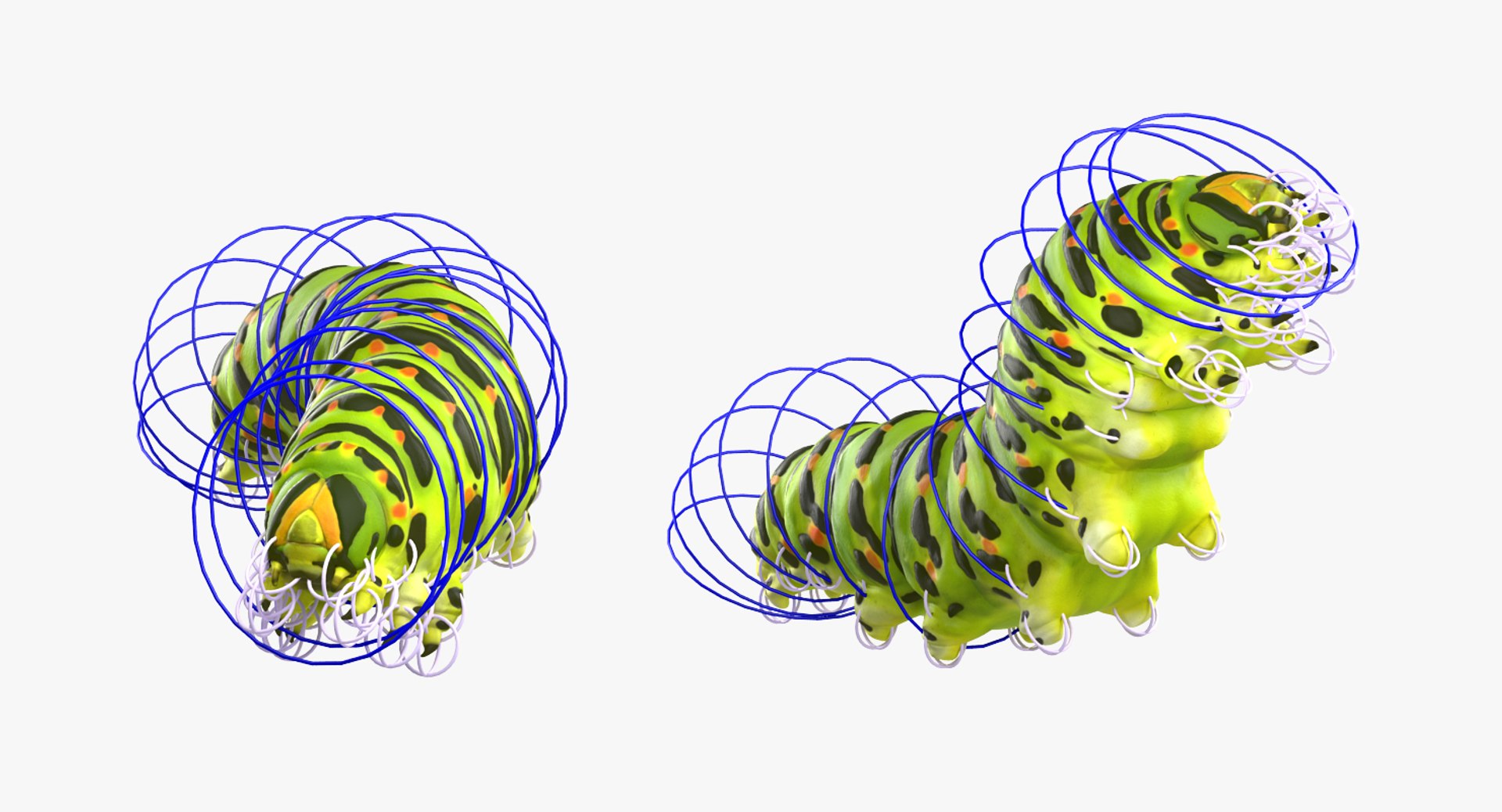 swallowtail butterfly caterpillar rigged model https://p.turbosquid.com/ts-thumb/qf/oqVMCJ/0XXJ7sbP/swallowtailbutterflyandcaterpillarriggedcollection3dsmodel014/jpg/1513804333/1920x1080/fit_q87/b90eabcbcce53b87570604dc7a4a7850d73356ca/swallowtailbutterflyandcaterpillarriggedcollection3dsmodel014.jpg