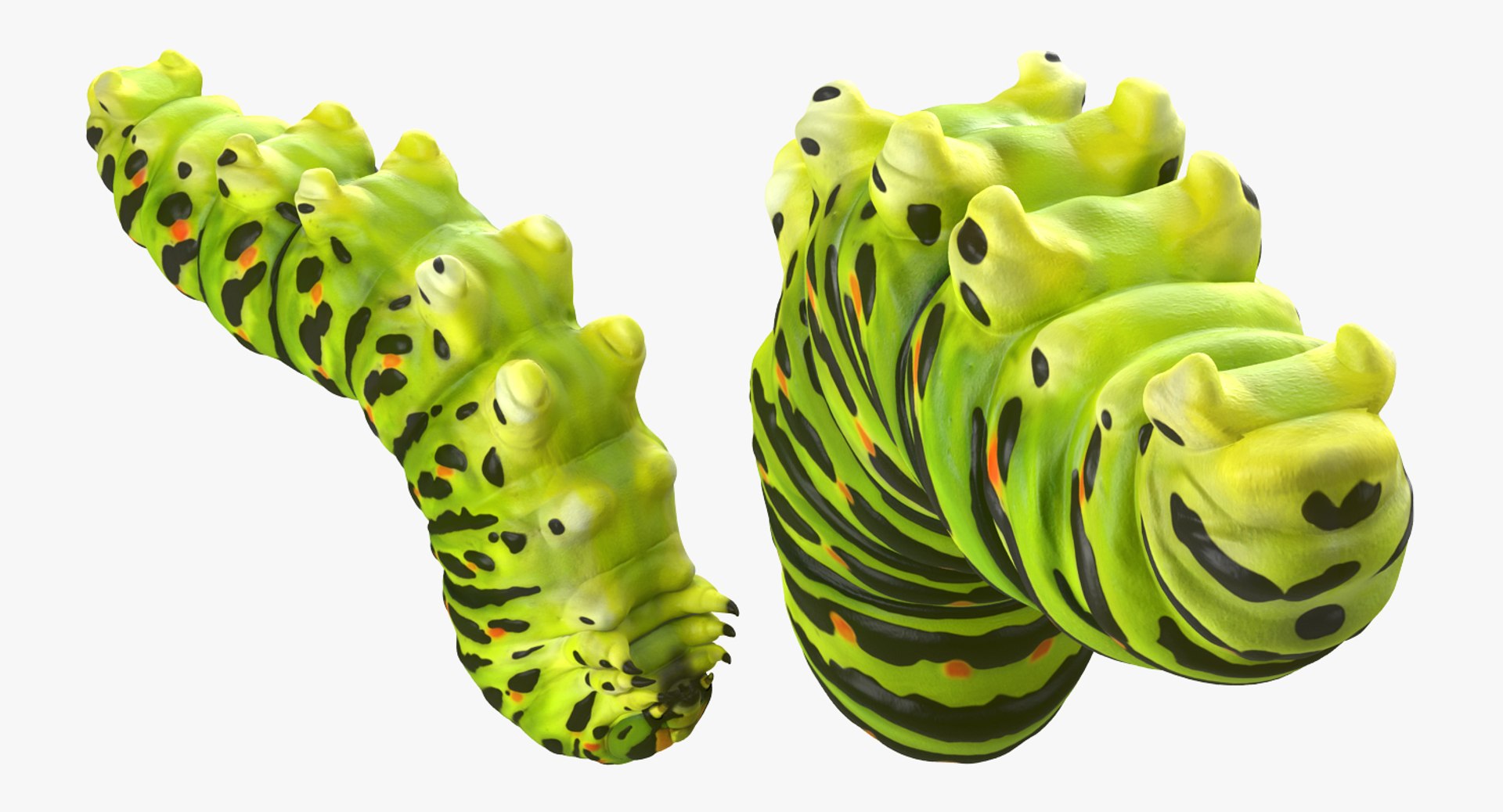 swallowtail butterfly caterpillar rigged model https://p.turbosquid.com/ts-thumb/qf/oqVMCJ/2lAN13LL/swallowtailbutterflyandcaterpillarriggedcollection3dsmodel015/jpg/1513804336/1920x1080/fit_q87/83a60da96eb3968dbf0be6f97b4c2ea8ae4a0d21/swallowtailbutterflyandcaterpillarriggedcollection3dsmodel015.jpg