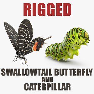 Swallowtail Butterfly and Caterpillar Rigged Collection