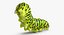 Collezione di farfalle a coda di rondine e caterpillar