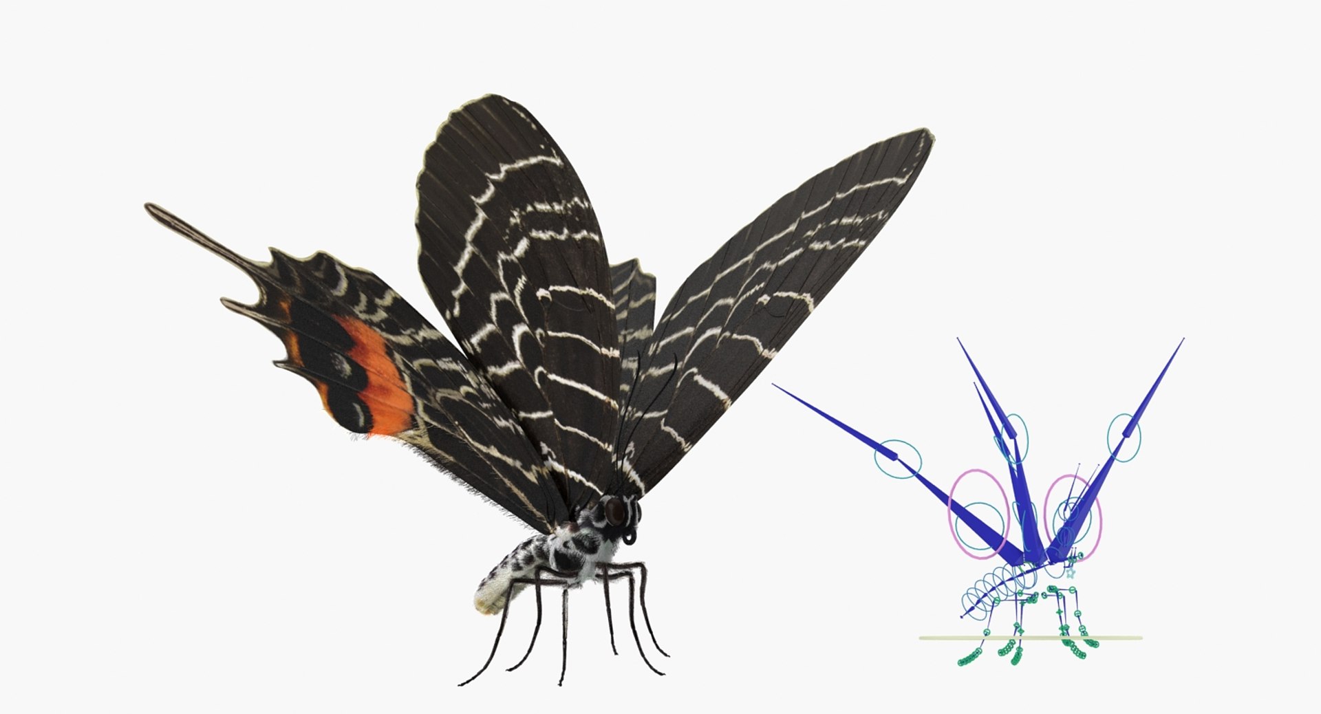 swallowtail butterfly caterpillar rigged model https://p.turbosquid.com/ts-thumb/qf/oqVMCJ/jxVA9eXO/swallowtailbutterflyandcaterpillarriggedcollection3dsmodel004/jpg/1513804302/1920x1080/fit_q87/af9544e499516027e60d360ead7034206fff3db6/swallowtailbutterflyandcaterpillarriggedcollection3dsmodel004.jpg