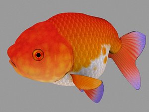 goldfish fish gold 3d model