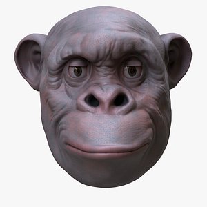 ChimpHeadNFTlowpolyfbx 3D model
